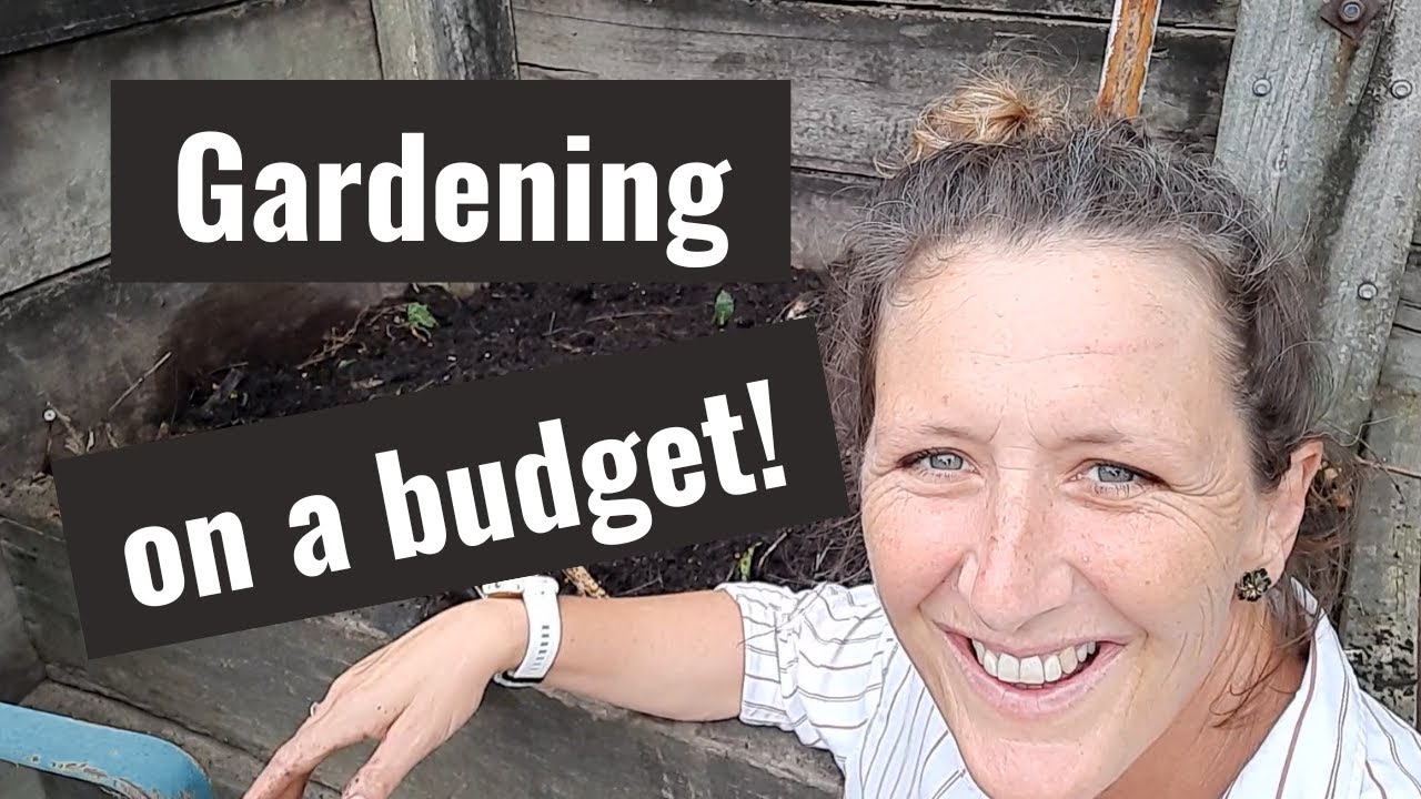 11 Ways to save money when growing your own food // Gardening on a Budget!