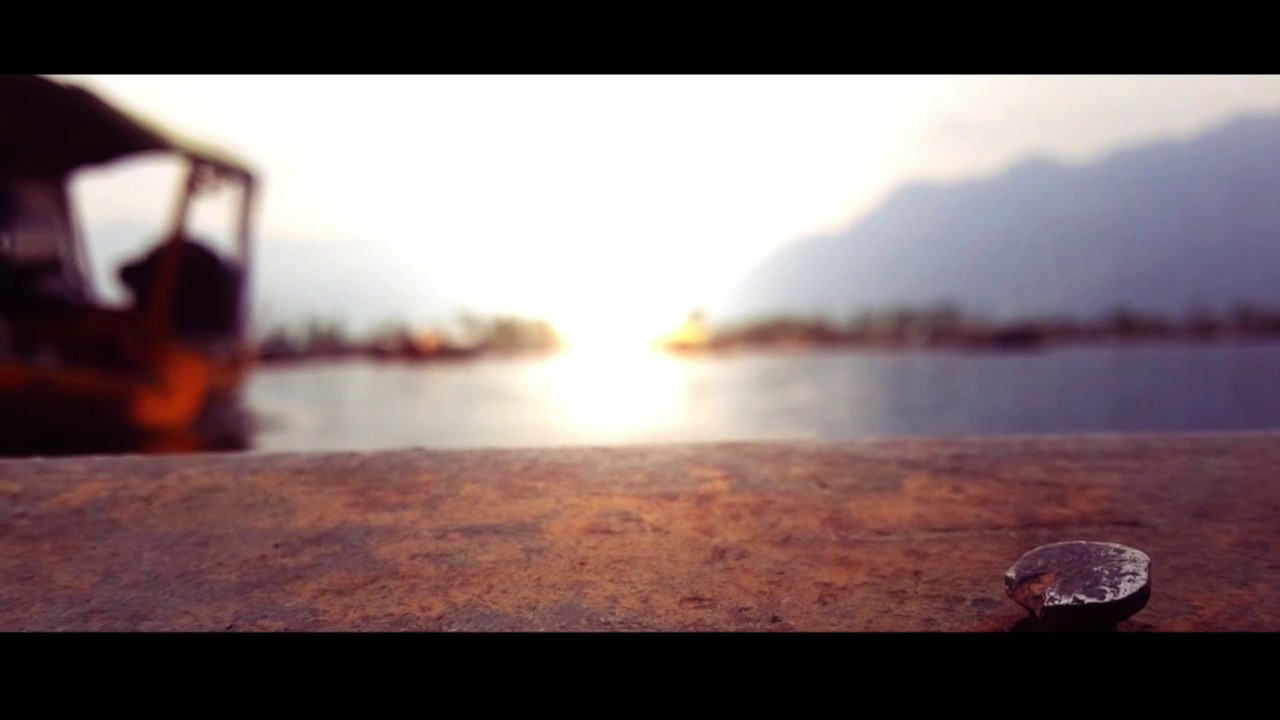 Dallake Kashmir Short clip