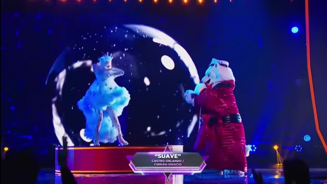 Interpretaci&oacute;n de Oso Polar 