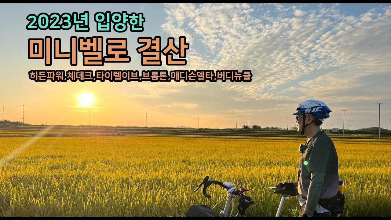 2023년 입양 미니벨로 결산 (히든파워,체데크,타이렐이브,브롬톤,매디슨델타,버디뉴클)