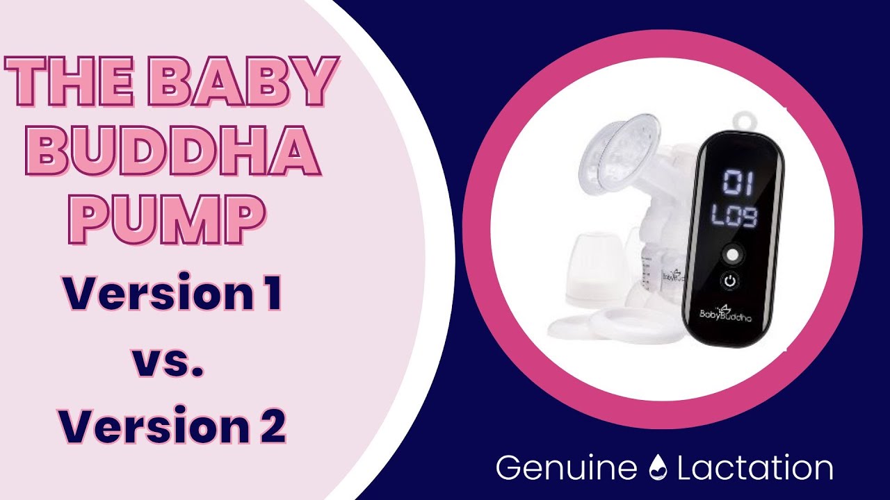 Baby Buddha V1 против V2