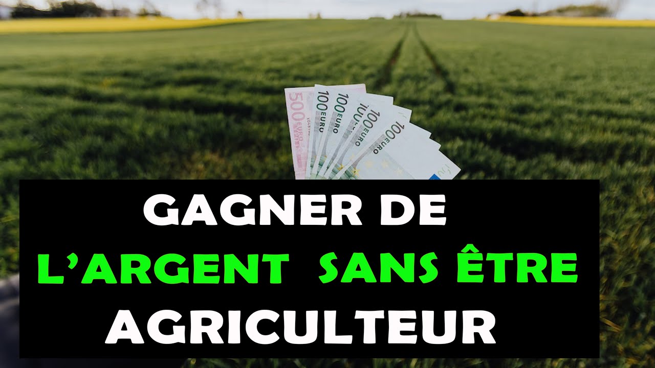 9 Idées de business pour gagner de l'argent dans l'agriculture sans être un agriculteur