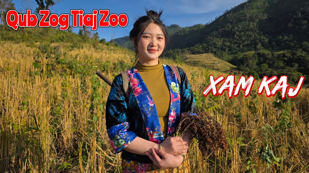 Rov Los Txog Qub Zog Xam Kaj Tiaj Zoo Tiaj Npeb Nab Loom / Dec 05, 2025