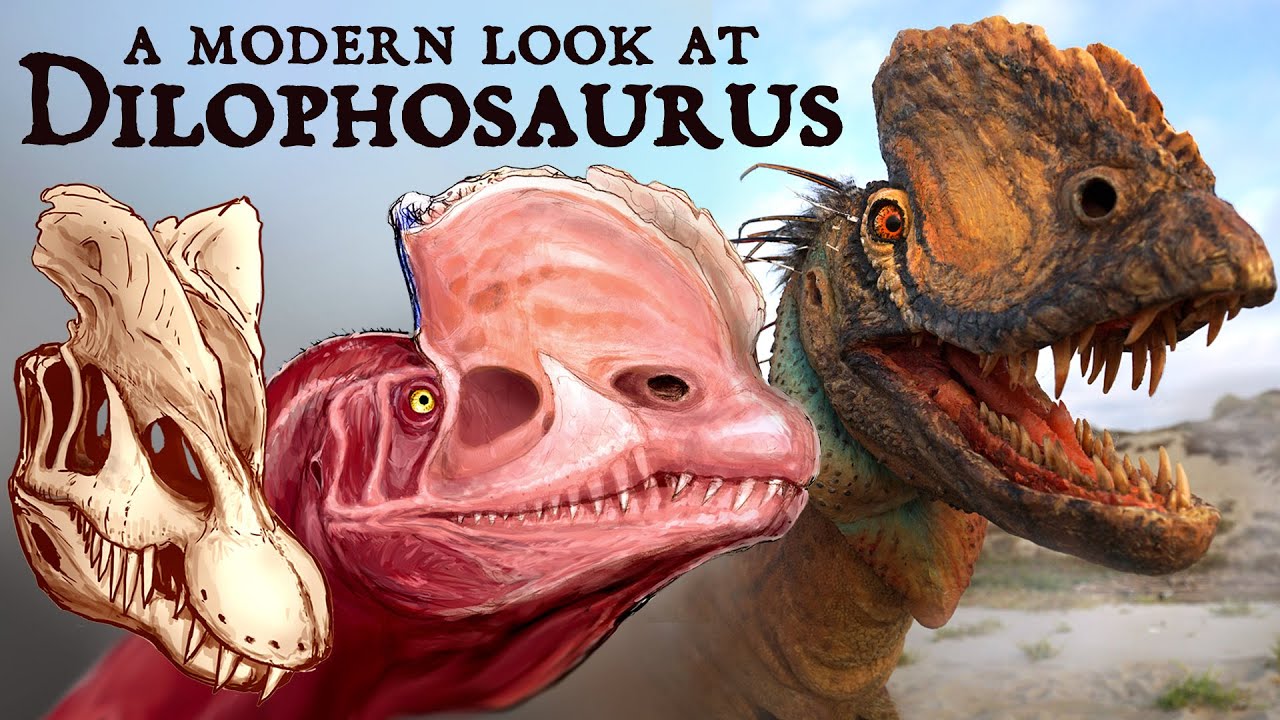 A Modern Look at Dilophosaurus