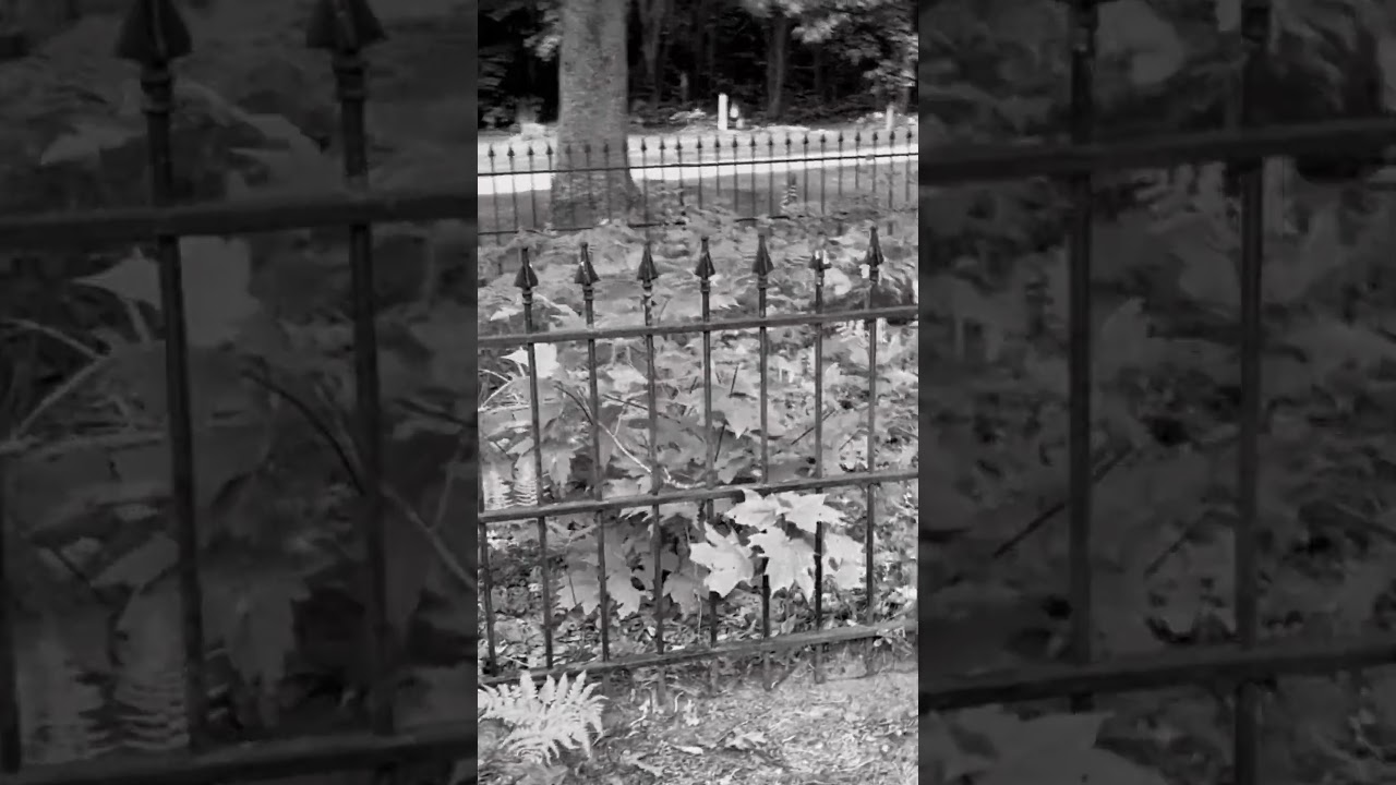 Kerb #history #cemeteries #cemetery #cemeterylovers