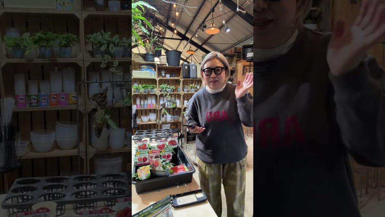 ほんわかアロイダーズ がライブ配信中！