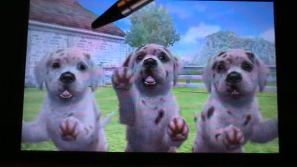nintendogs+cats special race les dogue allemand