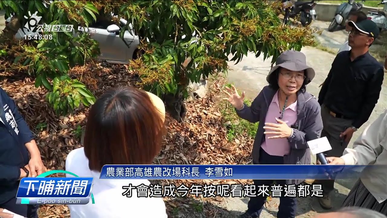 天氣溫差大 高雄大樹玉荷包牢果賰無兩成 | 公視台語台 | 20250407