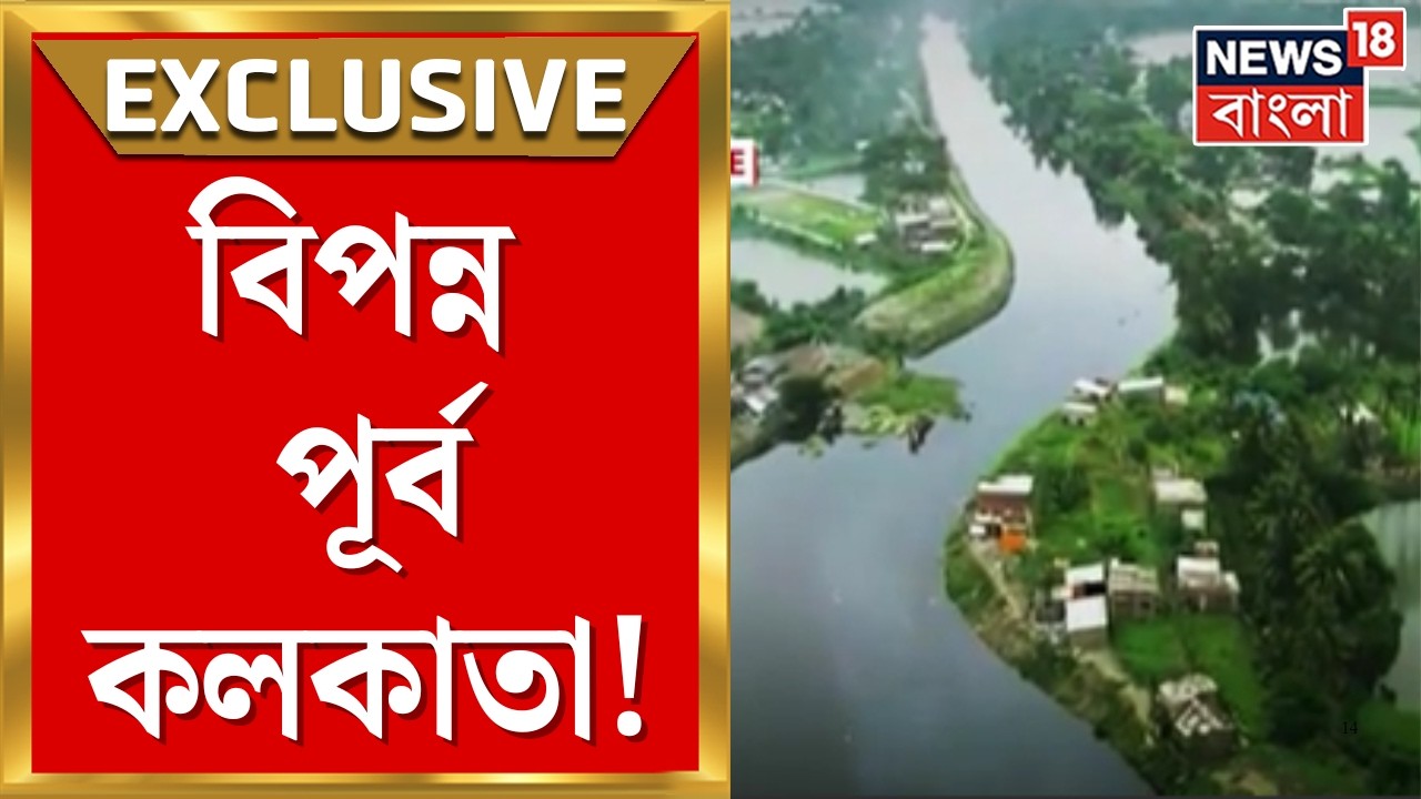 East Kolkata Wetland | পূর্ব কলকাতার জলাভূমি, কলকাতার কিডনি, সেটাই এখন বিপদে | Bangla News