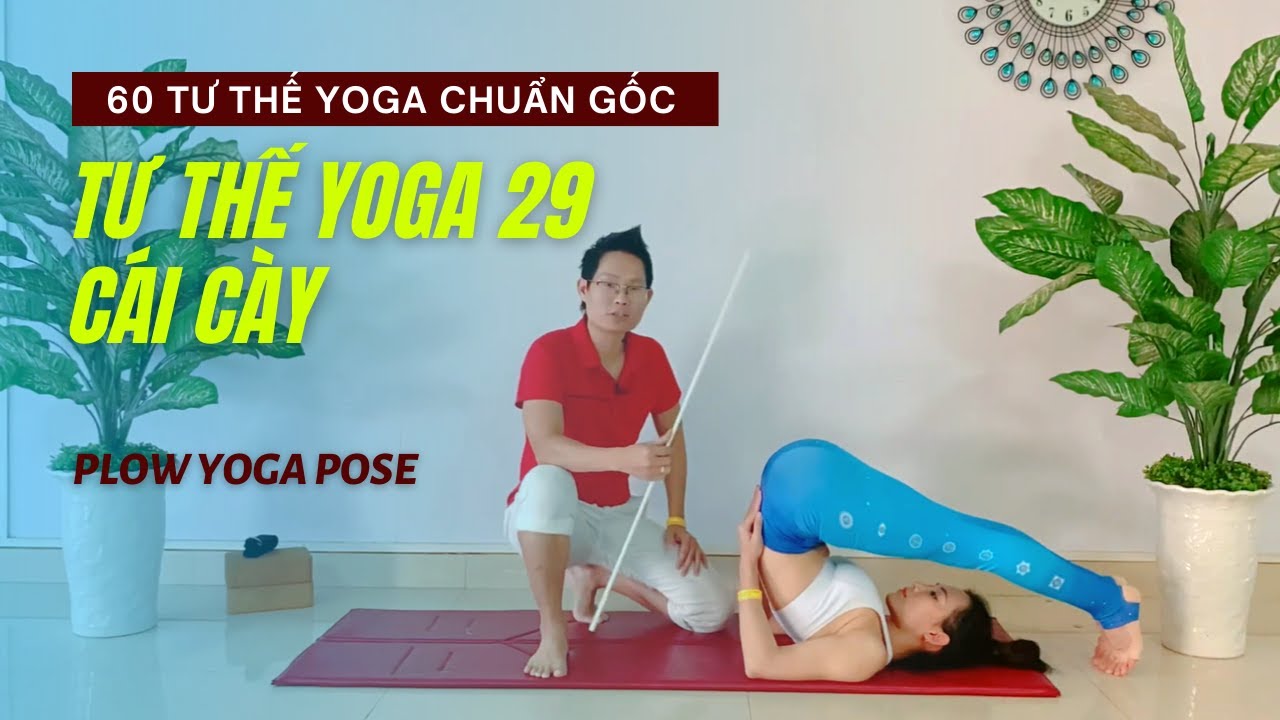 Cách tập Yoga tư thế CÁI CÀY cho người mới bắt đầu | Đặng Kim Ba Yoga Trị Liệu