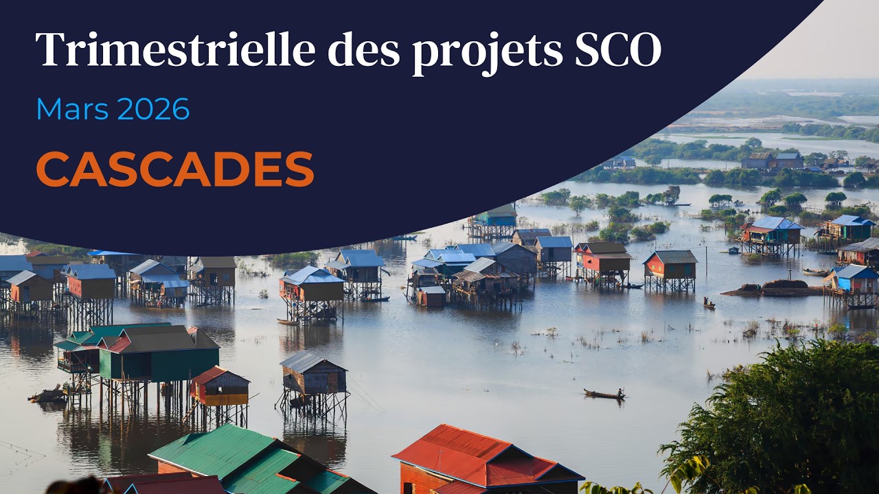 Trimestrielle mars 2026 : CASCADES