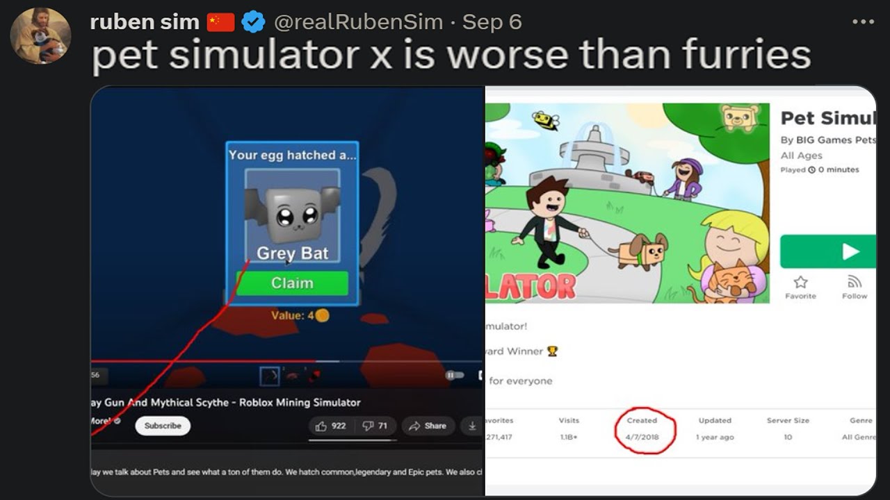 ruben sim HATES Pet Simulator X..