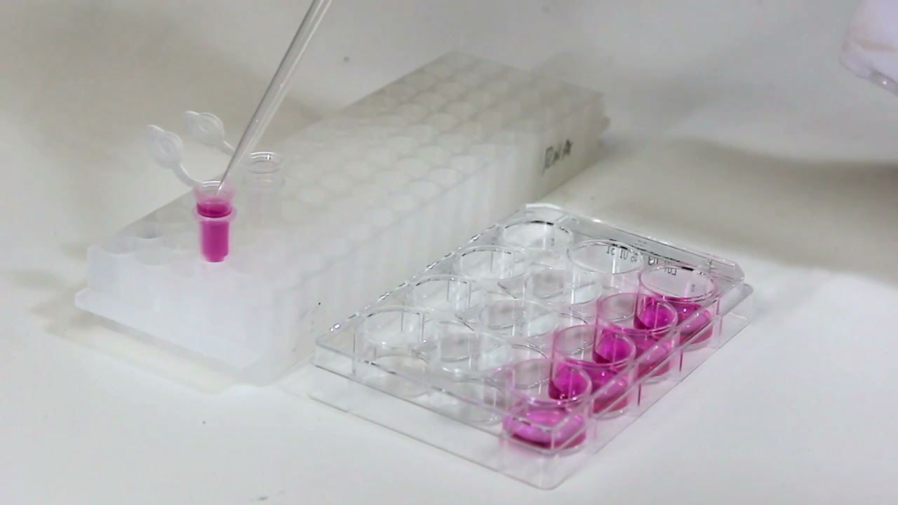Direct-zol RNA Miniprep Plus Kit #ZymoResearch