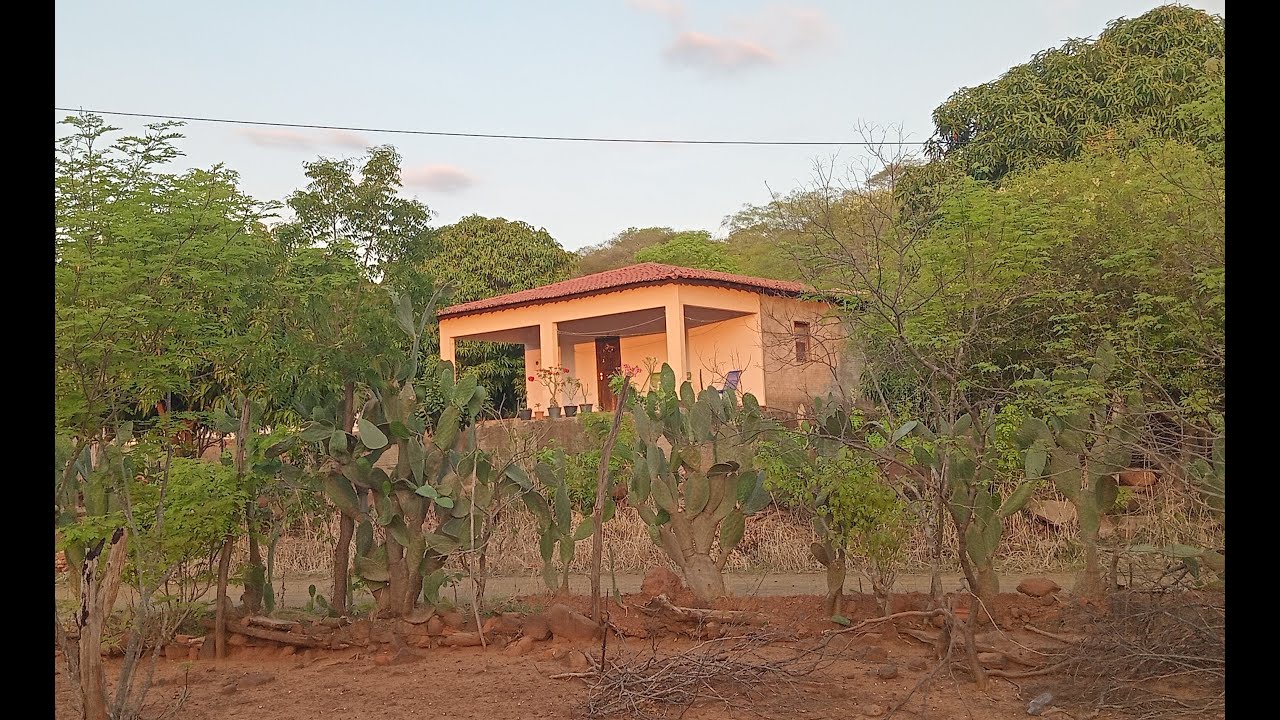 O aconchego no campo, rancho, árvores e animais.