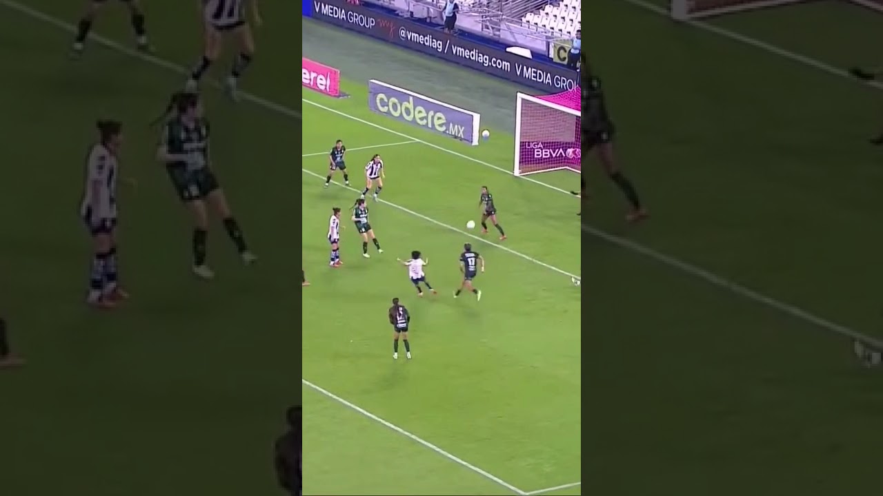#rayadosoficial #rayadosdemonterrey #ligamxfemenil #viral #vistas #golazo #gol #futbol #ligamx #fyp
