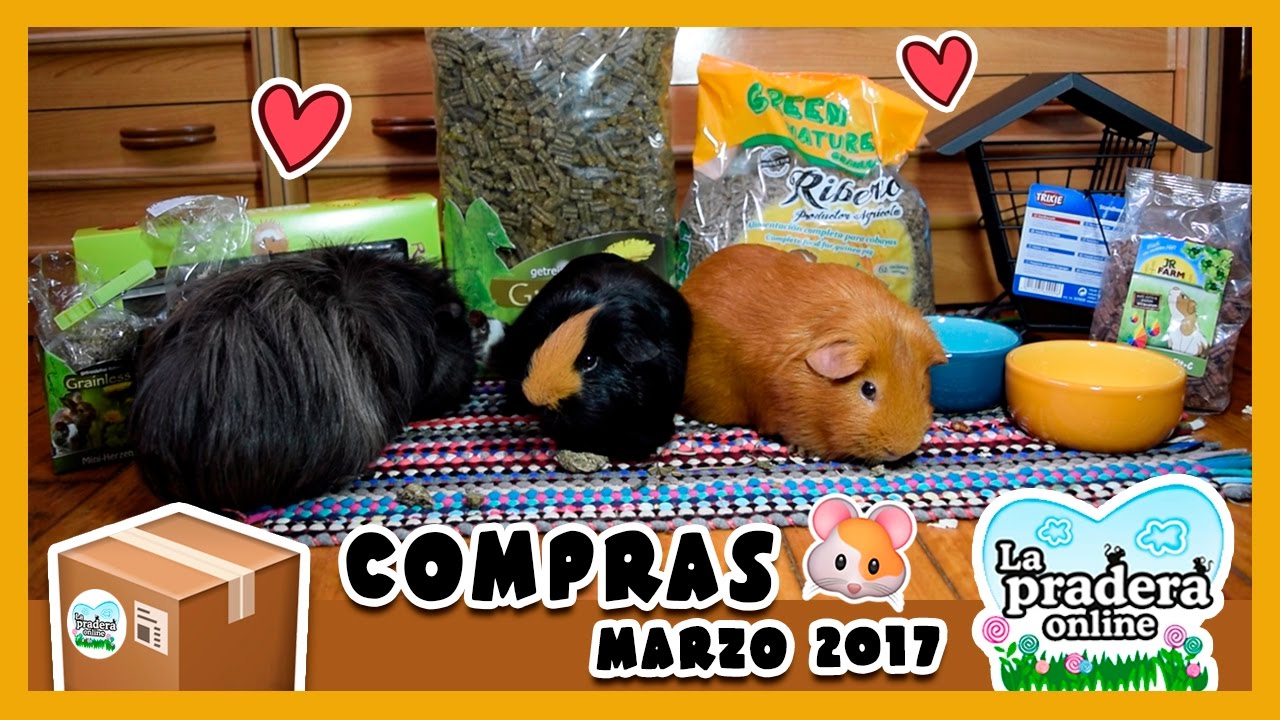 📦 COMPRAS en LA PRADERA ONLINE 🐹 Marzo 2017