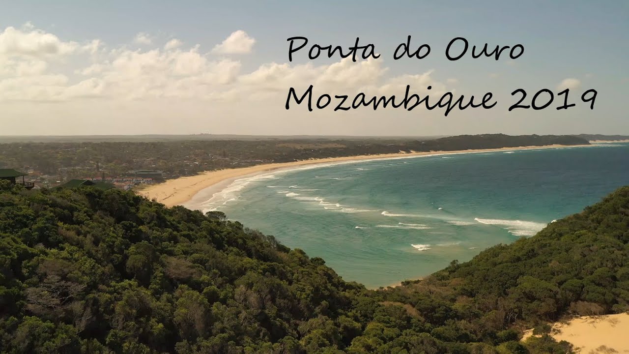 Ponta do Ouro, Mozambique 2019 (4K) | Diving