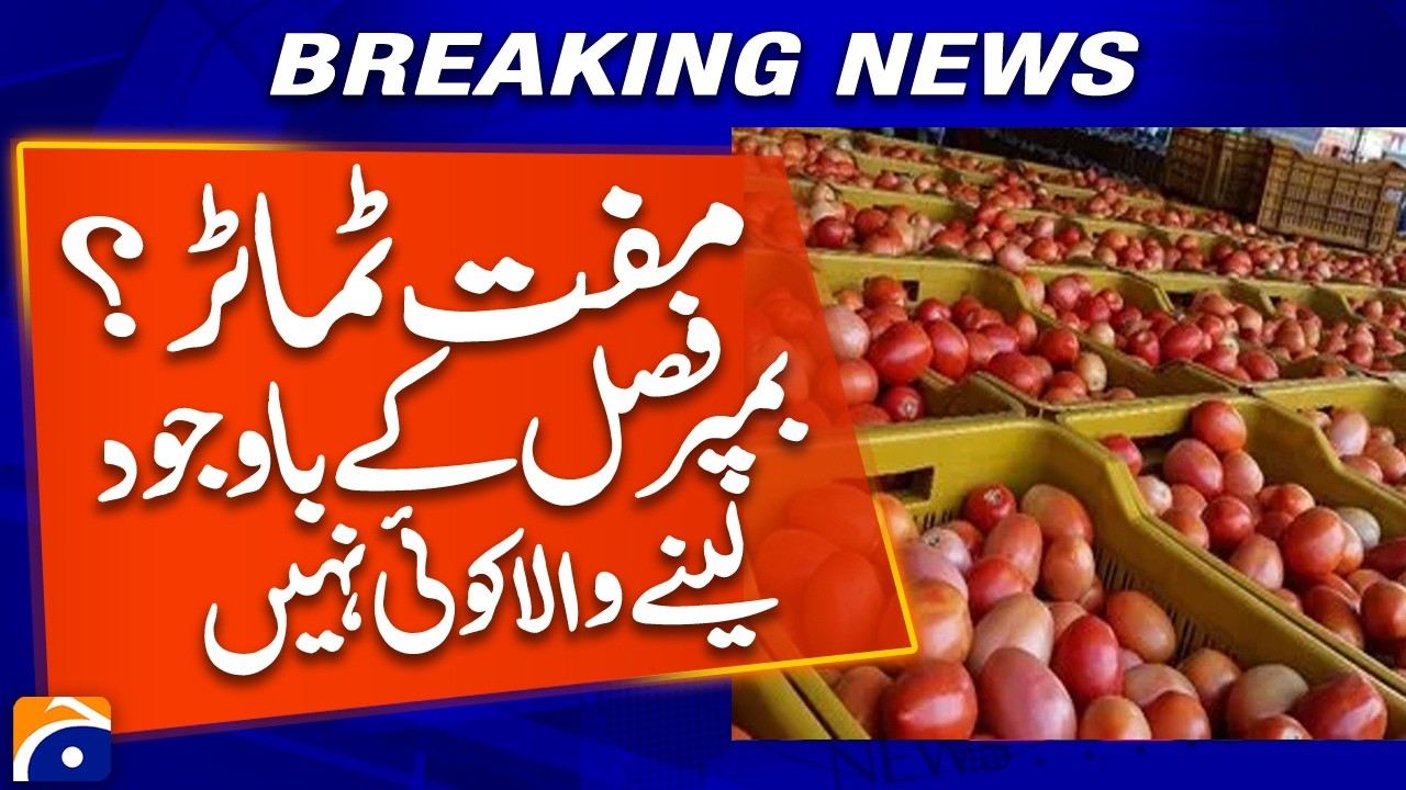 Bumper Crop! Buyers Refuse Free Tomatoes | Shocking Market Scene | Geo News