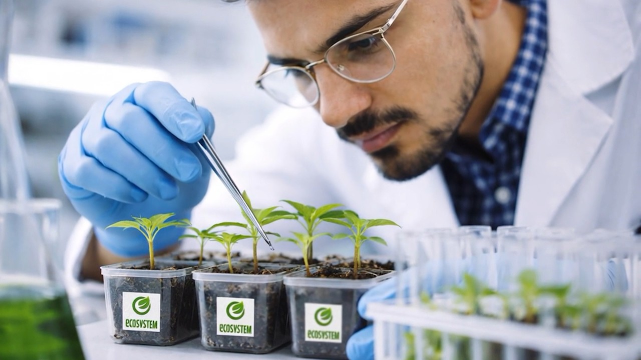 Nature knew better: Ecosystem research Project.