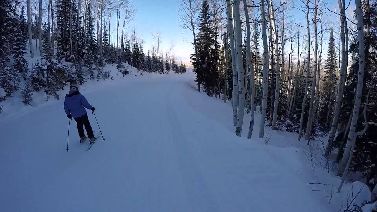 Steamboat Springs - Why Not Run