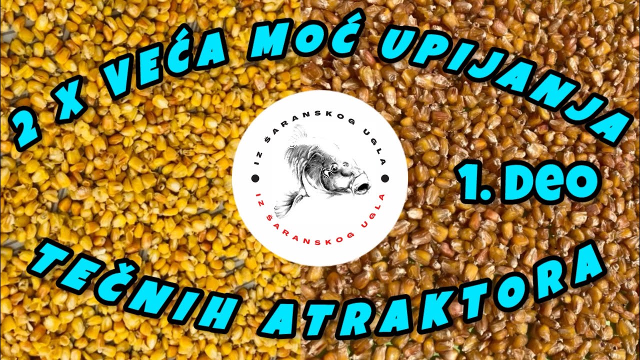 SPOD Priprema DEHIDRIRANOG kukuruza 🌽 Odličan za AMURA i ŠARANA