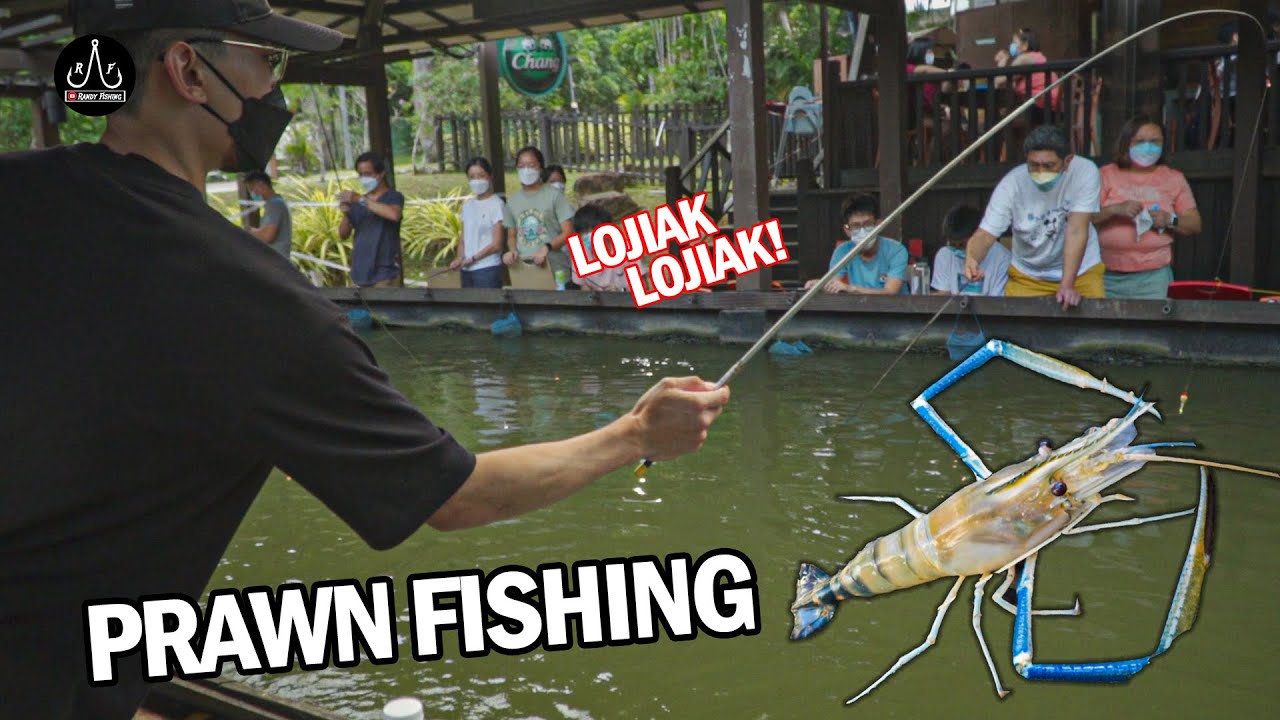 Catching Giant Freshwater Prawn At Orto ! | Udang Galah | - EP88
