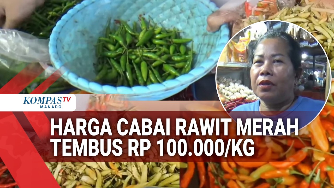 HARGA CABAI RAWIT MERAH TEMBUS RP 100.000/KG