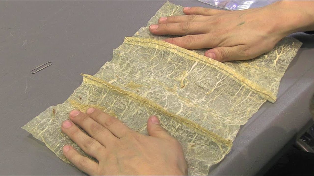 Sewing Gut (13 of 13): Sewing a Model Gut Window