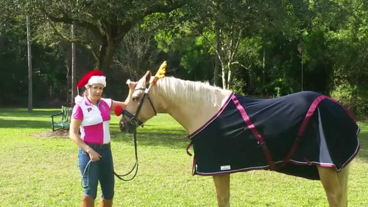 12 Days of Christmas Day 6: Draper Therapies Stable Sheet