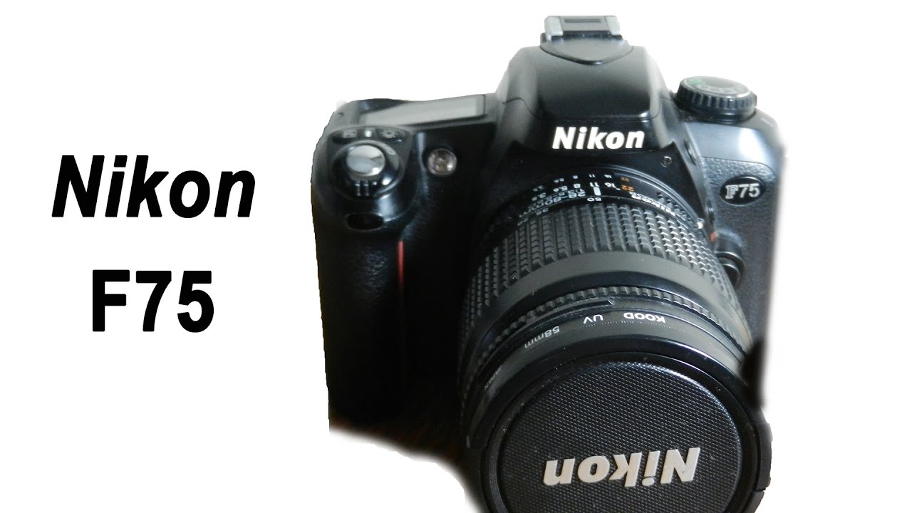 Nikon F75