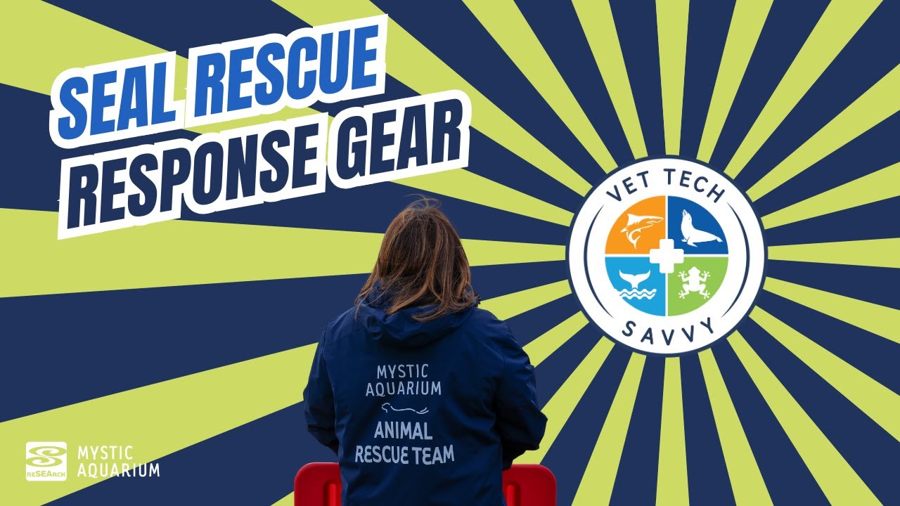 Animal Rescue Program Field Response Gear (Vet Tech Savvy Ep.7)