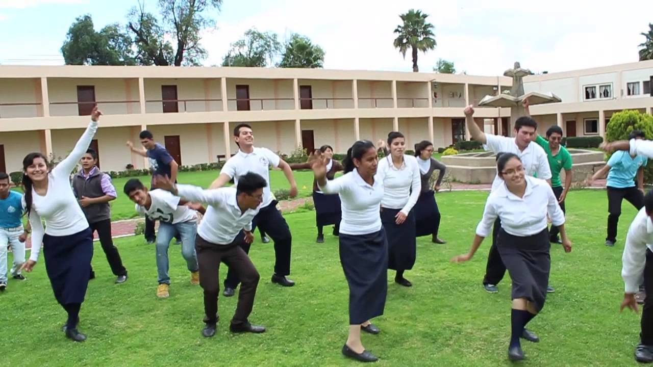Flash mob vocacional