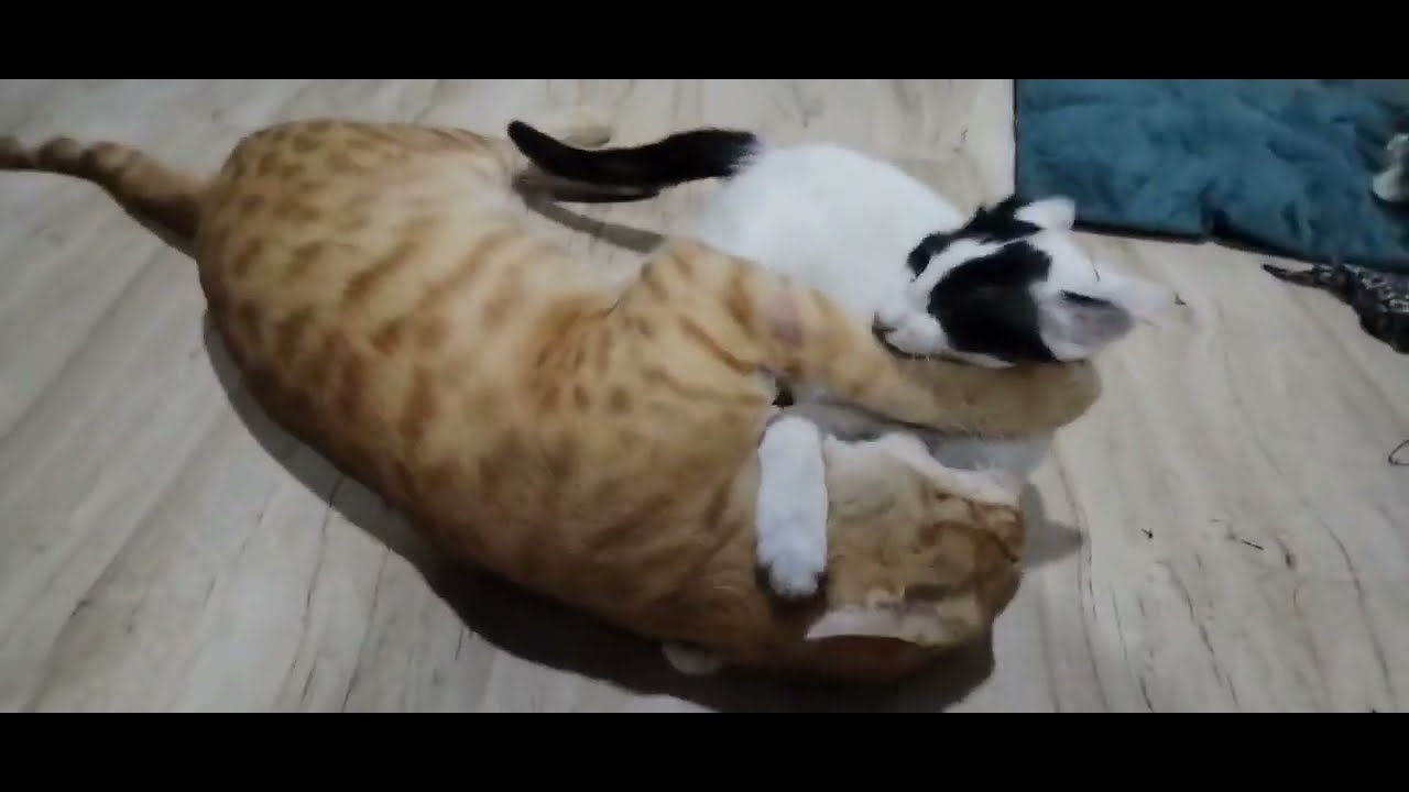 When you don't have mood 