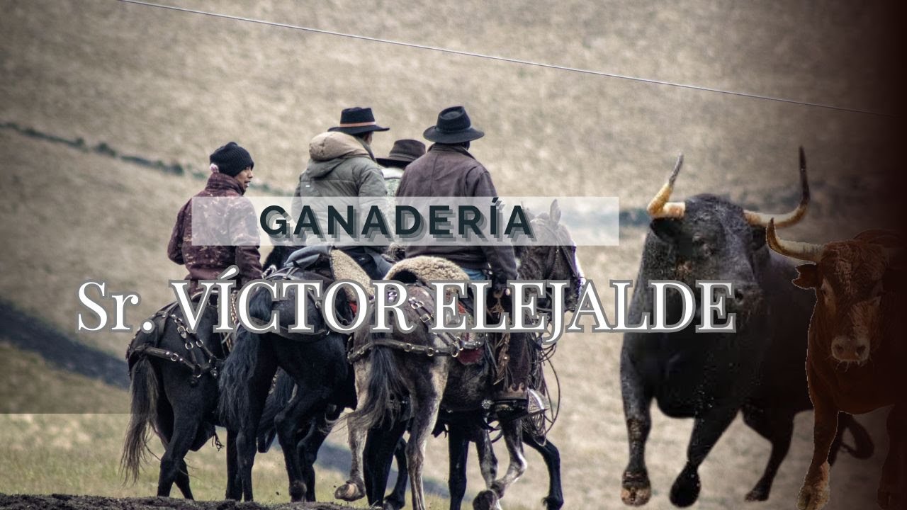 El Despertar del Páramo en Pullurima | Embarque de ganado del Sr Víctor Elejalde