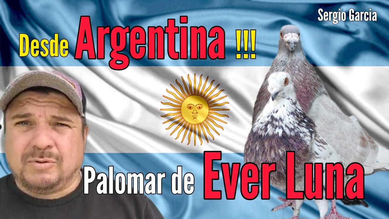 Ever Luna CRIADOR del BUCHÓN VALENCIANO y el palomo PICA ANTIGUO en ARGENTINA