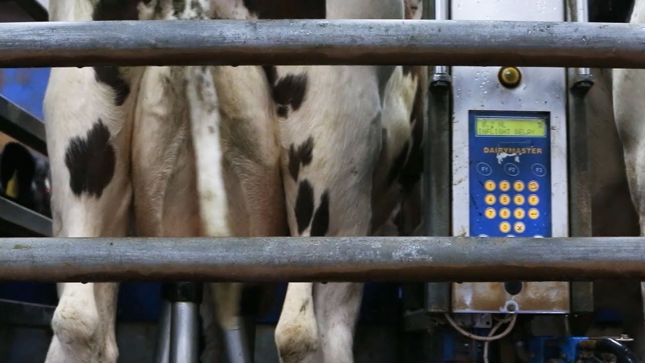 My Farming Week: Tom and Simon Browne, Killeagh, Co. Cork