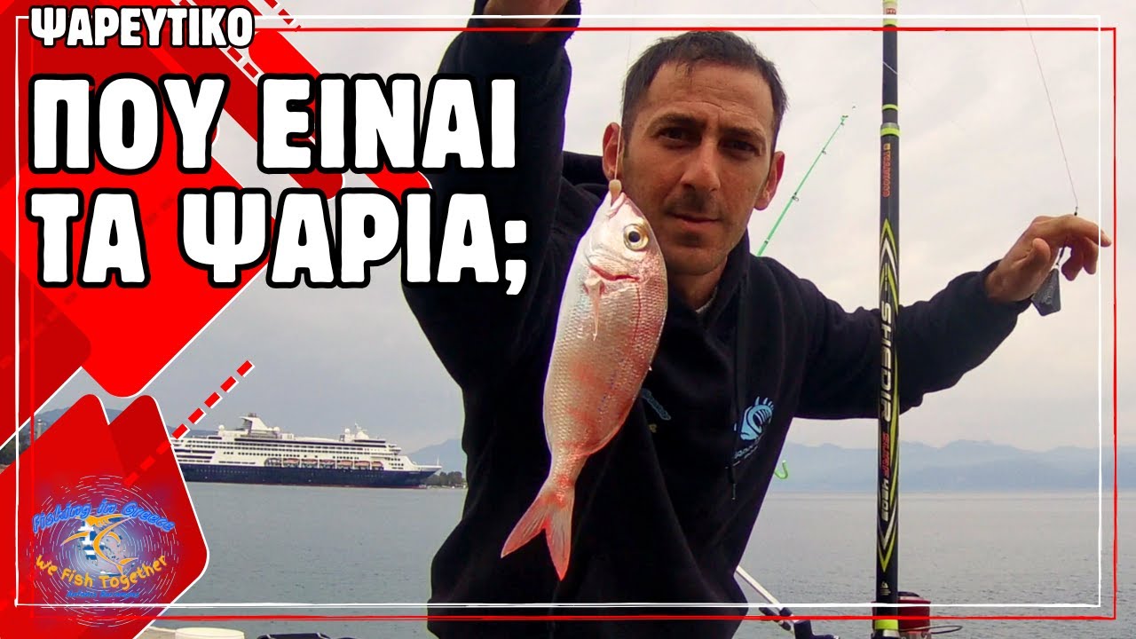 &Pi;&omicron;ύ &Epsilon;ί&nu;&alpha;&iota; &tau;&alpha; &Psi;ά&rho;&iota;&alpha;; &Psi;ά&rho;&epsilon;&mu;&alpha; &sigma;&tau;&omicron; &Alpha;ί&gamma;&iota;&omicron;