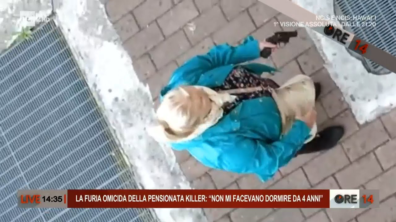 Treviglio, anziana spara ai vicini: 