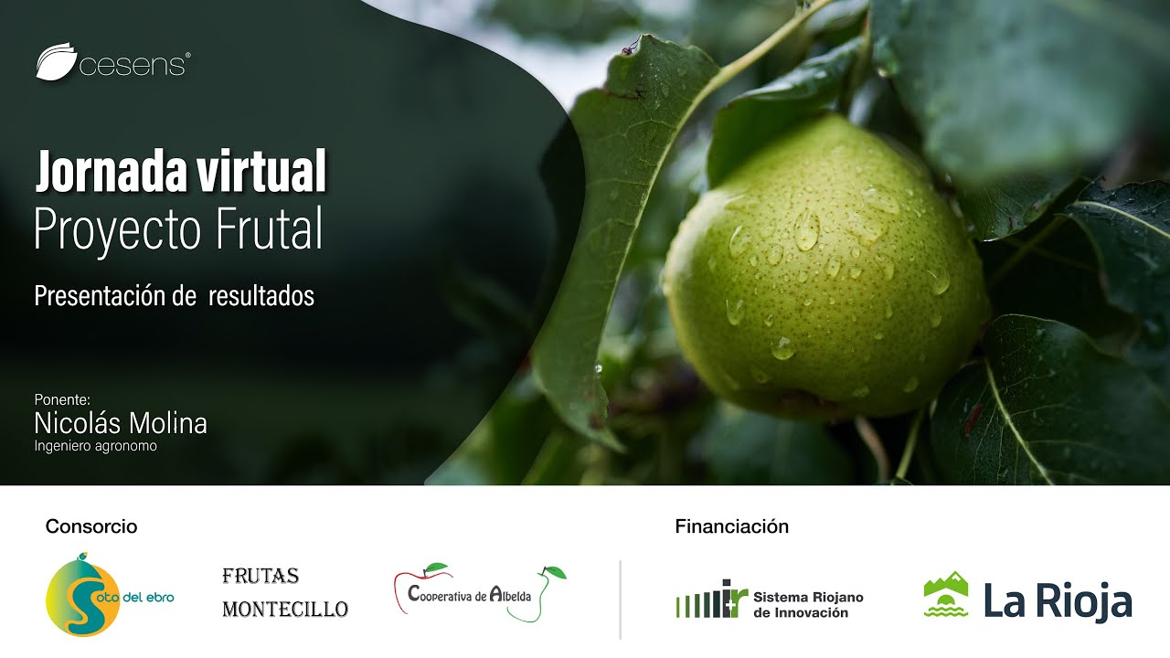 Presentación resultados Proyecto Frutal