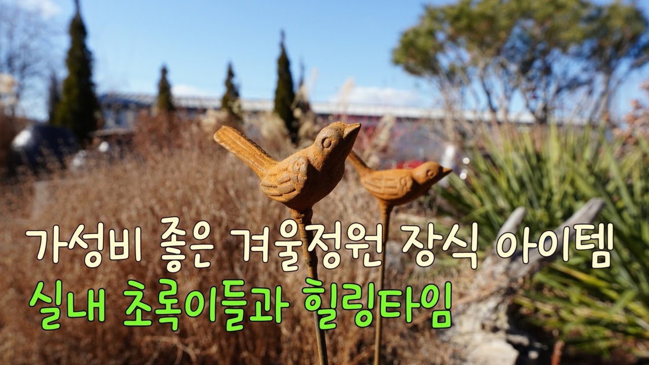 가성비 좋은 겨울정원 장식 아이템 /실내 초록이들과 힐링타임/with Temu/Cost-effective winter garden decorations items/