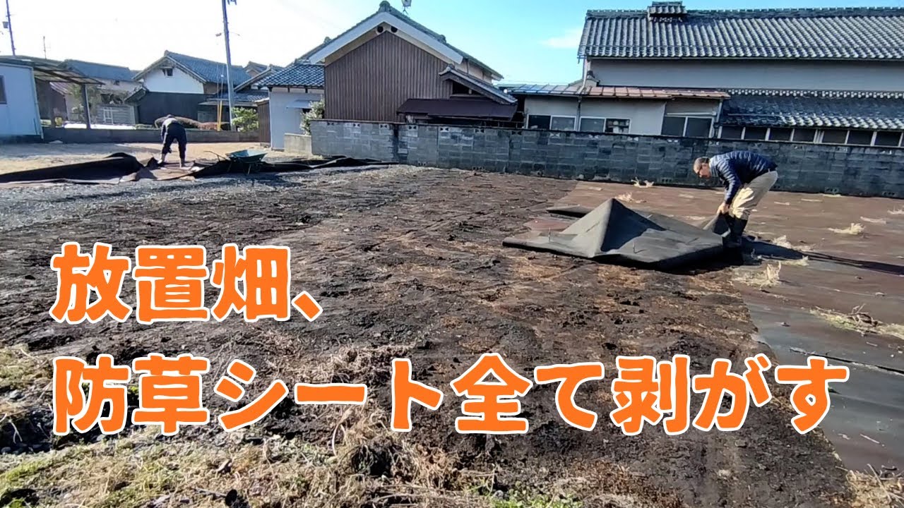 【古民家DIY】放置畑、全貌が明らかに【開墾】