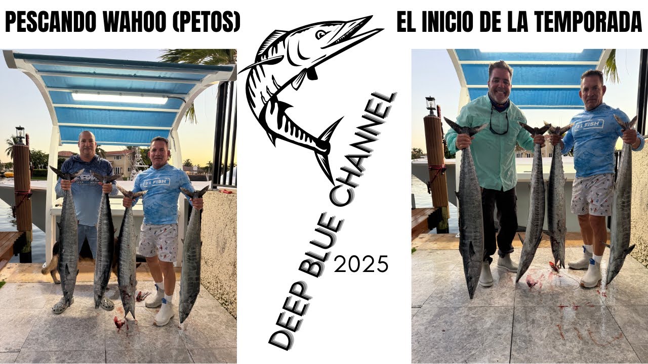 🎣WAHOO FISHING IN ANGUILAS 🏝️CAY BAHAMAS🛥️