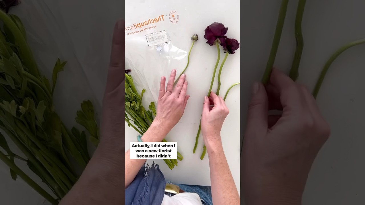 How to process ranunculus!