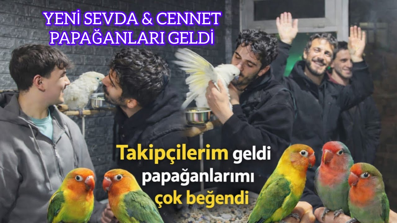 HAYRAN KALDILAR