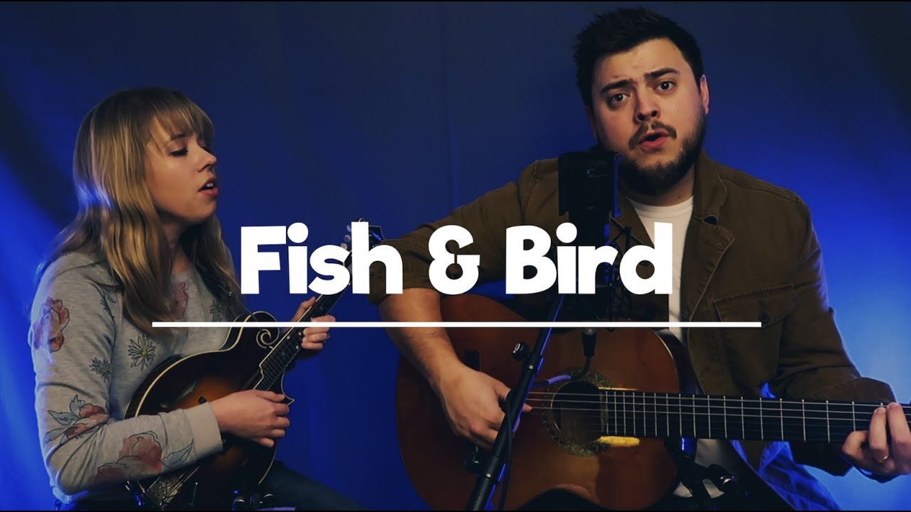 Fish & Bird: 🐋🕊 (Tom Waits Cover) | #ZaggieWednesdays