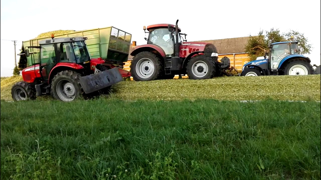 Kukurydza z pompą 2k17 //Nowe nabytki//