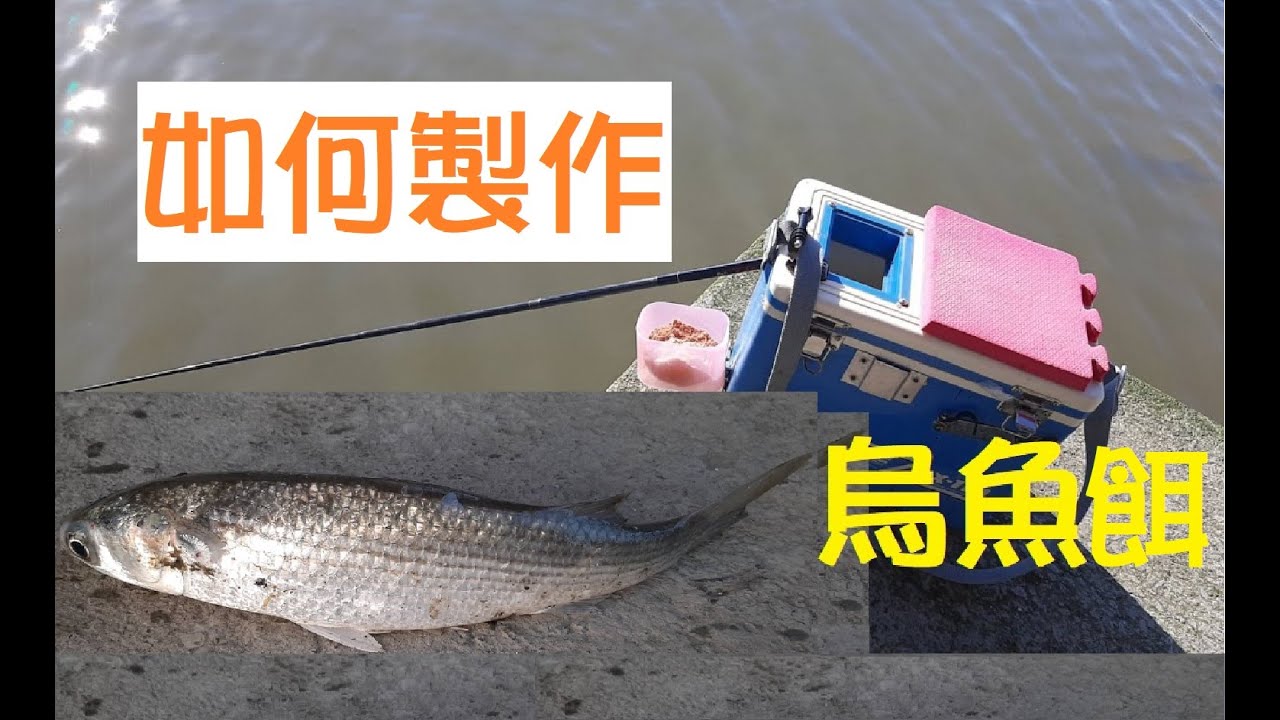 [釣魚趣#5] 如何DIY製作烏魚餌? How to make mullet bait to save your money?豆仔魚/虱目魚/黑鯛/吳郭魚/金錢仔/臭肚/阿扁/紅蟳..多元魚餌.