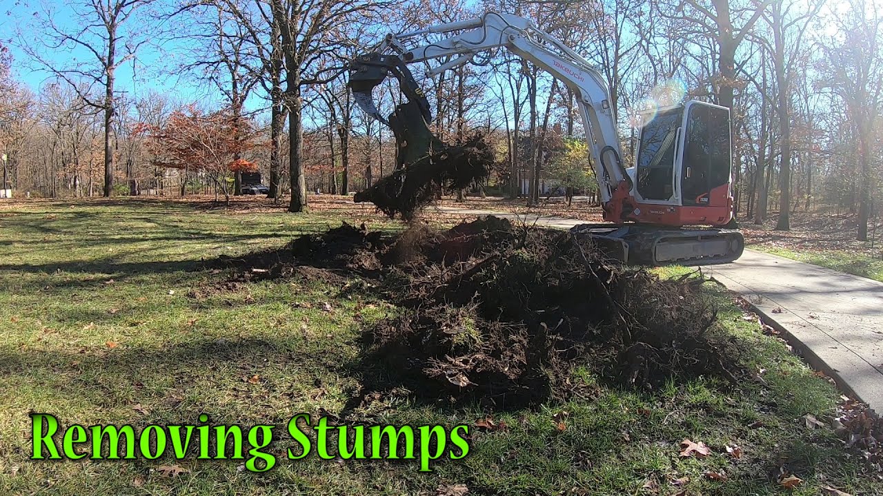 Removing Two Stumps With The Werk Brau Ripper And Grading Rake