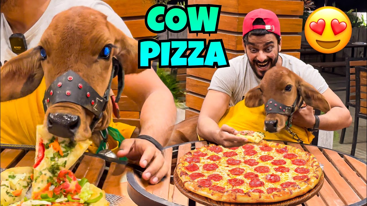 BABY COW KO SPECIAL COW PIZZA KHILA DIA😍| MISHKA KHAN | THE FUN FIN