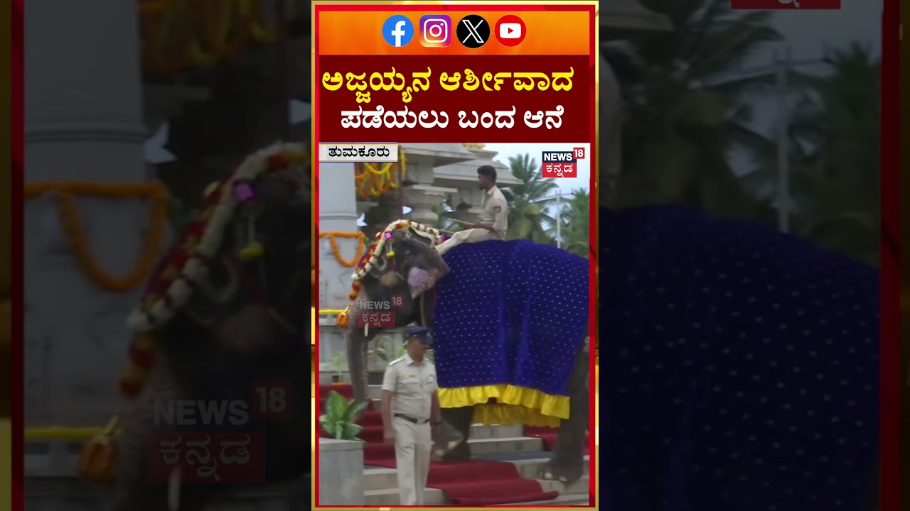 Nonavinakere Ajjayya Mata | ಅಜ್ಜಯ್ಯನ ಆರ್ಶೀವಾದ ಪಡೆಯಲು ಬಂದ ಆನೆ | CM DK Shivakumar | N18S